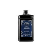 Davines( 特芬莉) 達芬尼斯 海洋之心霧光洗髮露 1000ml